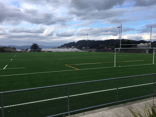 Polytan upgrades Wellington’s Te Whaea sportsfield to international standard