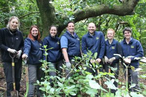 Wellington Zoo plants 500 eco-sourced plants in restoration site