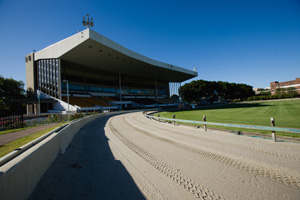 Plans to Open Sydney’s Wentworth Park