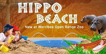 Werribee Zoo opens new Hippo Beach attraction