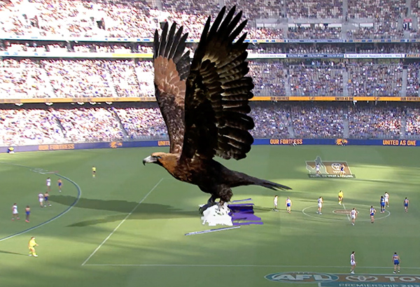 KOJO Sport and West Coast Eagles collaborate to create Australia’s first stadium mixed reality experience
