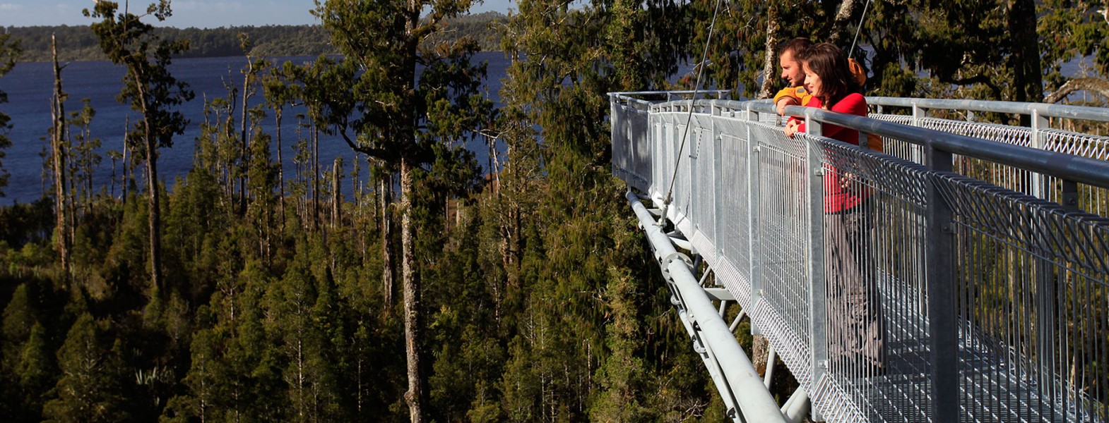 New Zealand’s first treetop walk to inject $3 million into the Hokitika regional economy each year