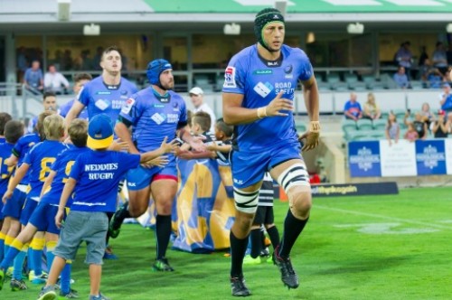 Rugby Australia made decision to axe Western Force months before finances examined