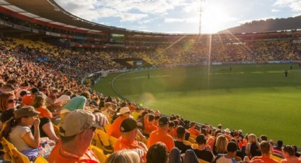 Huge summer of international cricket for Wellington