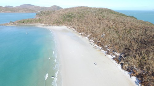 Whitehaven Beach reopens after restoration and clean-up