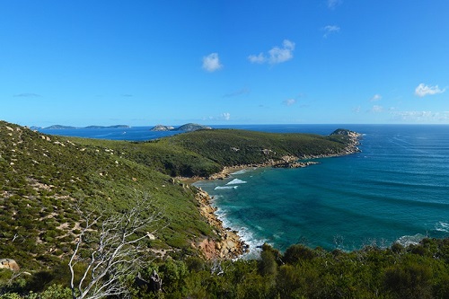 Victorian Government commits to predator-proof fence at Wilsons Promontory to protect native wildlife
