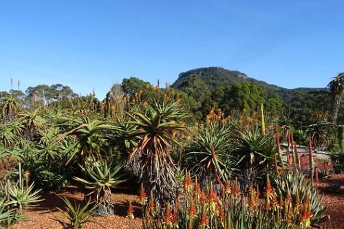 Wollongong Botanic Garden wins prestigious international accreditation