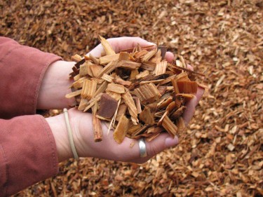 Gisborne Olympic pool heated by local wood chips