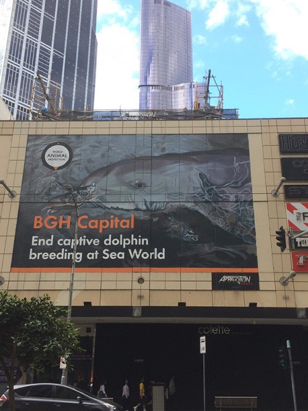 World Animal Protection billboard removed from Melbourne’s Lonsdale Street
