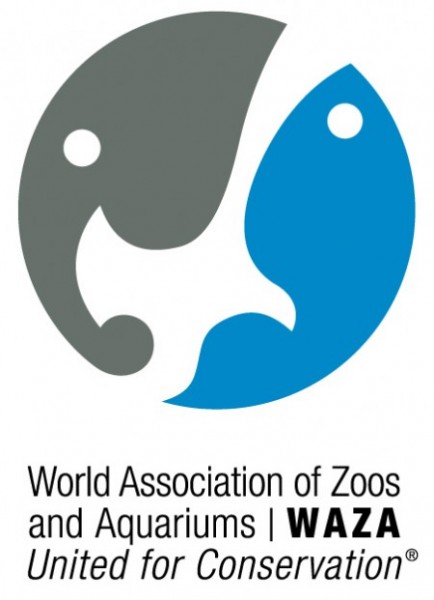 Al Ain to host world Zoo and Aquarium conference