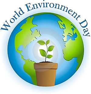 Queenstown’s Ziptrek Ecotours embraces World Environment Day