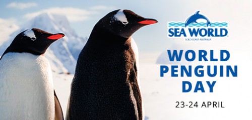 Sea World to mark World Penguin Day