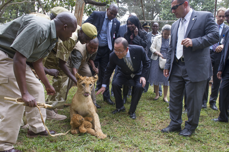 United Nations marks World Wildlife Day with a global call to save endangered species