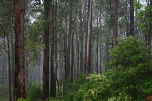 Western Australian Government to extend protection at Yalgorup National Park