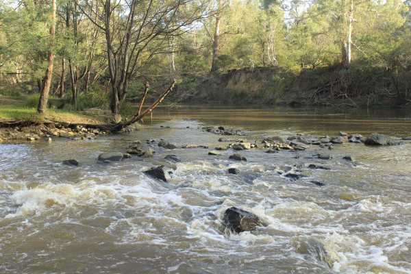 Report shows Parks Victoria responsible for toxic chemicals in the Yarra River