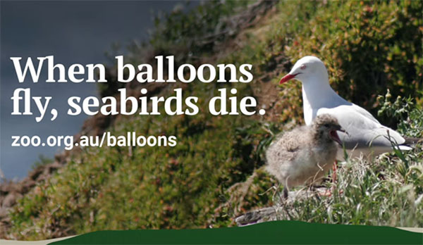 Environment Protection Authority makes it illegal to release balloons in Victoria