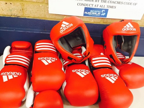 Boxing Tasmania signs exclusive three year agreement with JOLS adidas