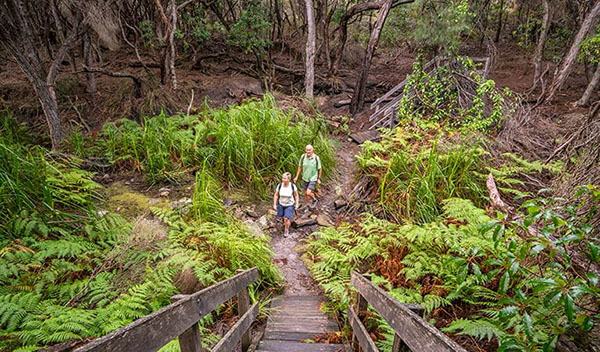 Beowa National Park benefits from upgrades to visitor areas