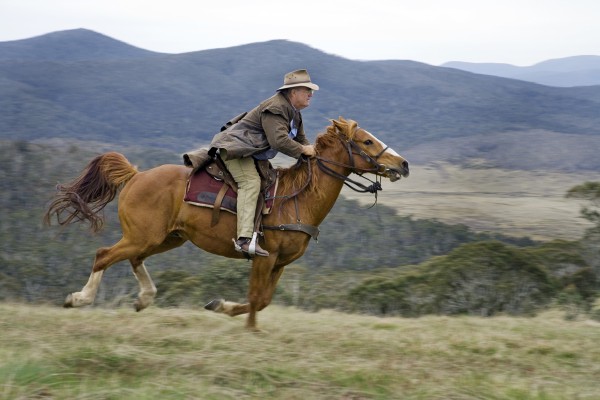 Conservationists outraged at horse riding trial in NSW wilderness areas