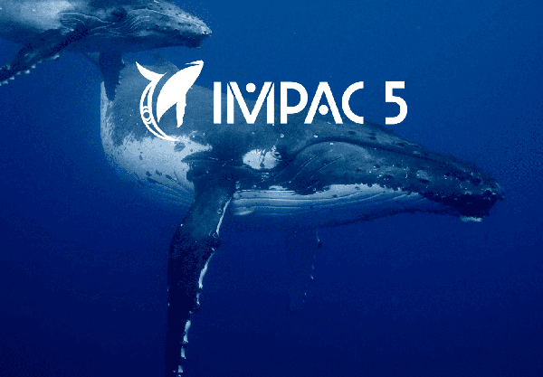 AMCS highlights Australia’s key role at IMPAC5 international marine protection congress