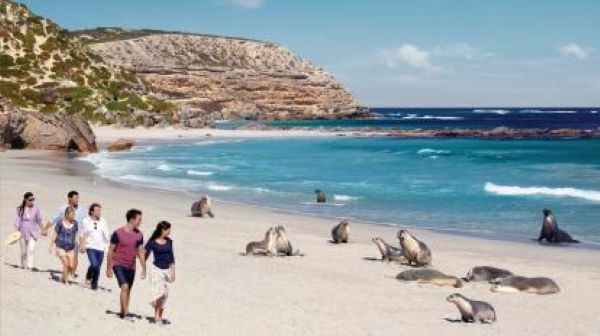 University of South Australia research focuses on sustainable tourism