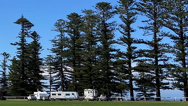 No camping allowed at Kiama Showground or Chapman Oval this summer