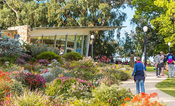 New board announcements for Western Australia’s Botanic Gardens and Parks Authority