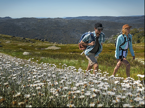 $10 million boost to complete 55-kilometre multi-day Kosciuszko walking trail