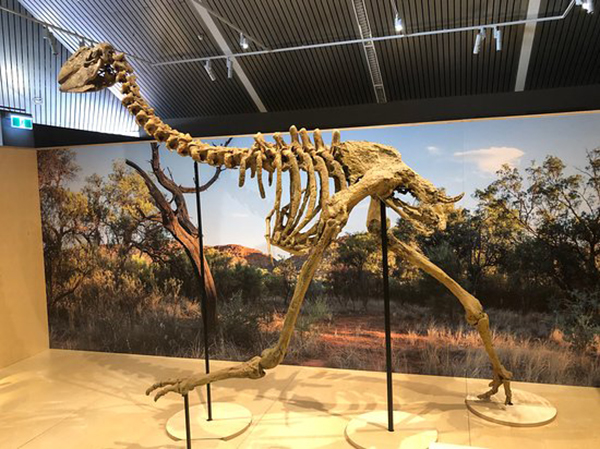 Megafauna Central Museum launches augmented reality experience