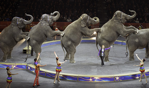 Ringling Circus prevails in 14-year legal battle, wins US$15.75 million