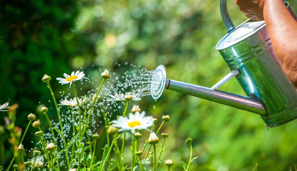 Sydney introduces level two water restrictions