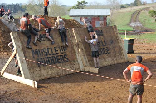 Tough Mudder to return to New Zealand after inaugural event success