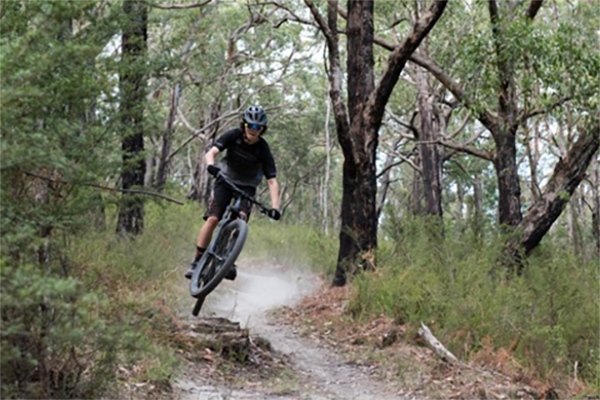 Warburton Mountain Bike Trails development to minimise environmental impact