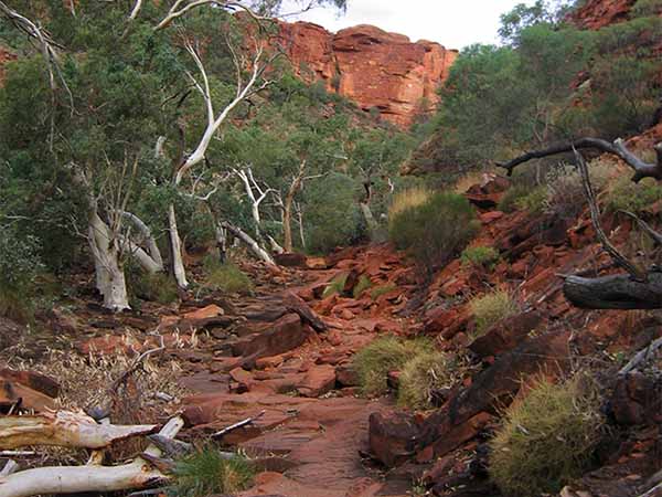 The Watarrka Track to be one of Australia’s most scenic multi-day walking experiences