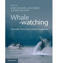 Whale-watching book questions industry sustainability worldwide