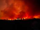 Black summer bushfires wiped $2.8 billion from Australia’s tourism supply chains
