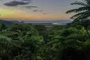 Tourism Tropical North Queensland welcomes visitors back to the Daintree
