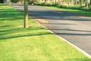 South Australian council removes ban on residents laying artificial grass on road verges