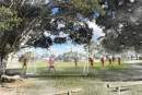 Brisbane City Council to invest in new sports fields