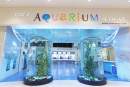 Merlin Entertainments announces acquisition of Seoul’s COEX Aquarium