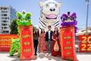Lunar New Year Festival events launched across multiple Chatswood locations