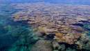 Low lying Australian coral islands at risk of disappearing