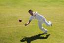 How live fielding data capture is changing cricket