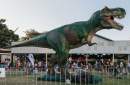 Attorney-General warns Queenslanders not to buy tickets from Dinosaur Festival Australia