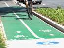 Concept designs endorsed for Sydney cycleways