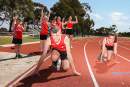 New synthetic surface benefits athletes in Geelong