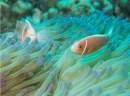 $20.75 million investment to help Queensland farmers protect Great Barrier Reef