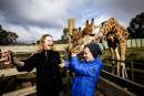 Victoria’s Halls Gap Zoo celebrates 40 years of nurturing animals