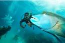 Indigenous rangers from Great Barrier Reef undertake scuba diver training