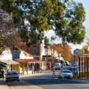 Indigo Shire Council secures funding for trees and awards contract for Barnawartha netball and tennis courts